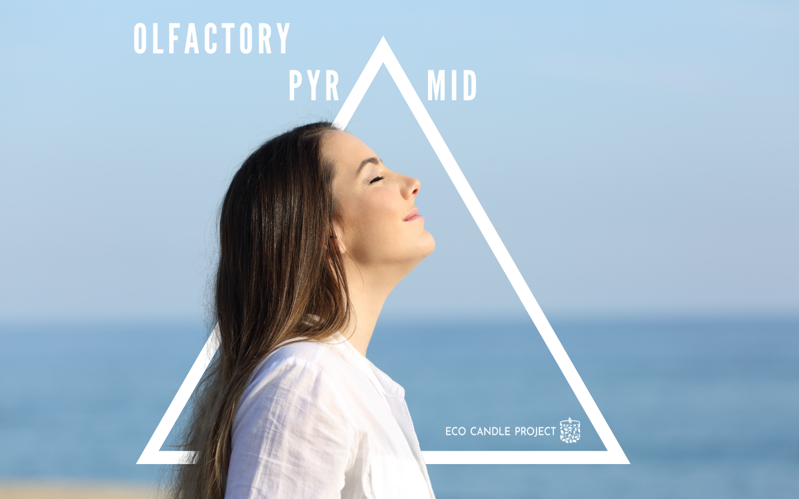 The Olfactory Pyramid