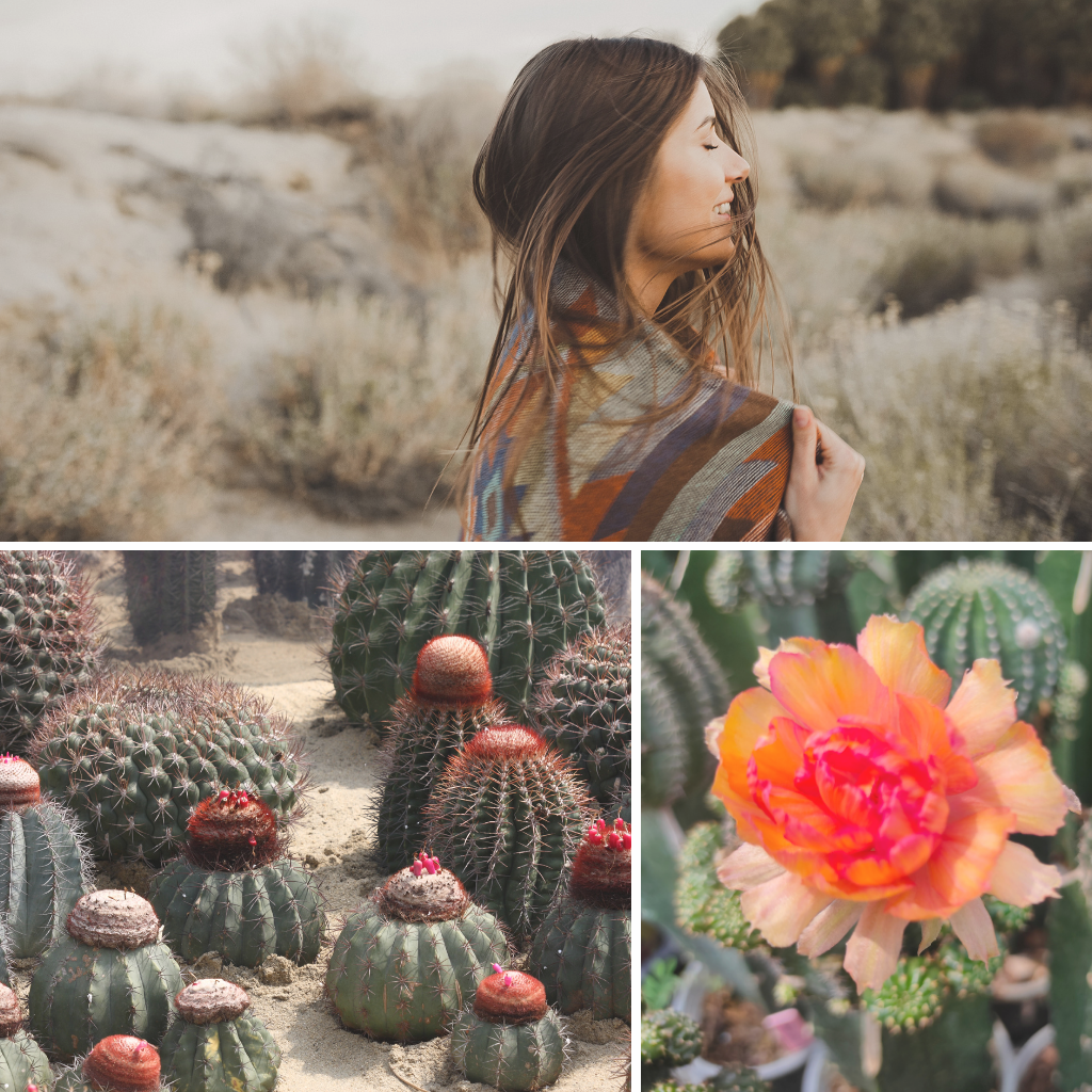 DUNE FLOWERS