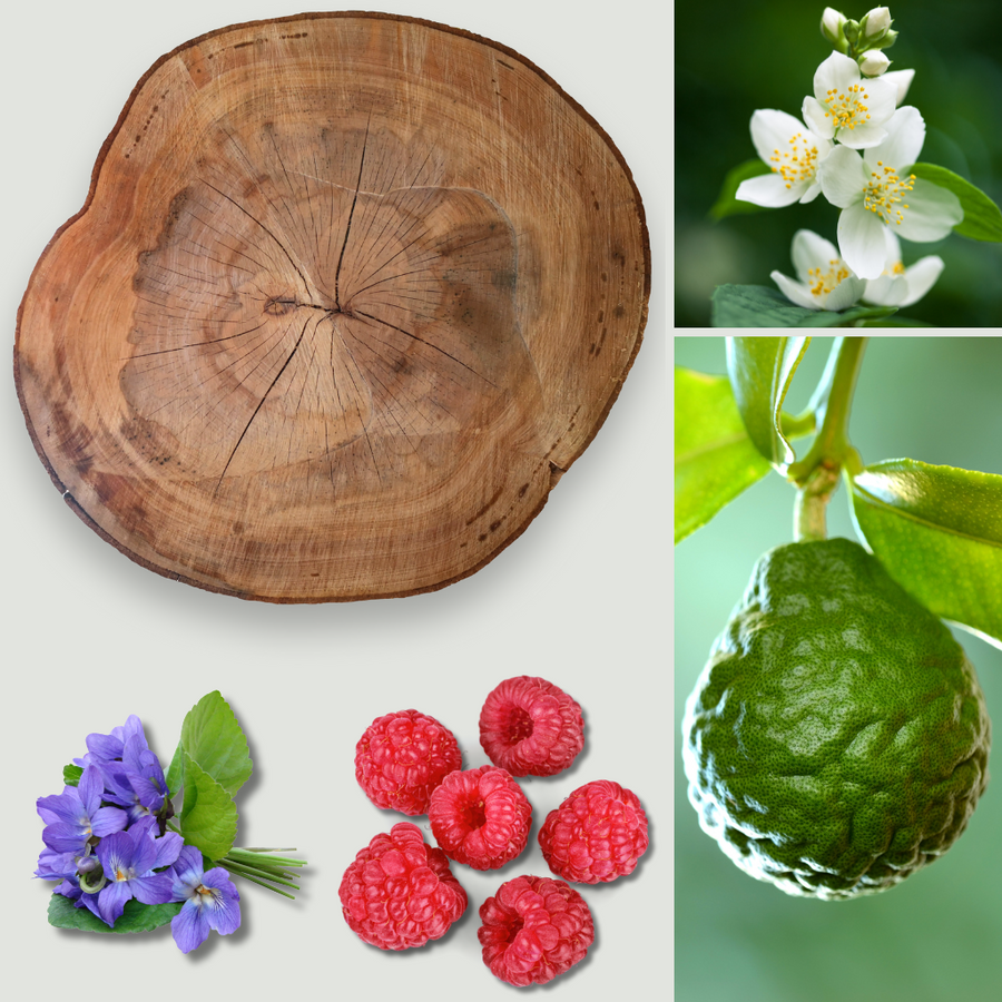 BLOOM BERRY  & CASHMERE - Eco Candle Project 