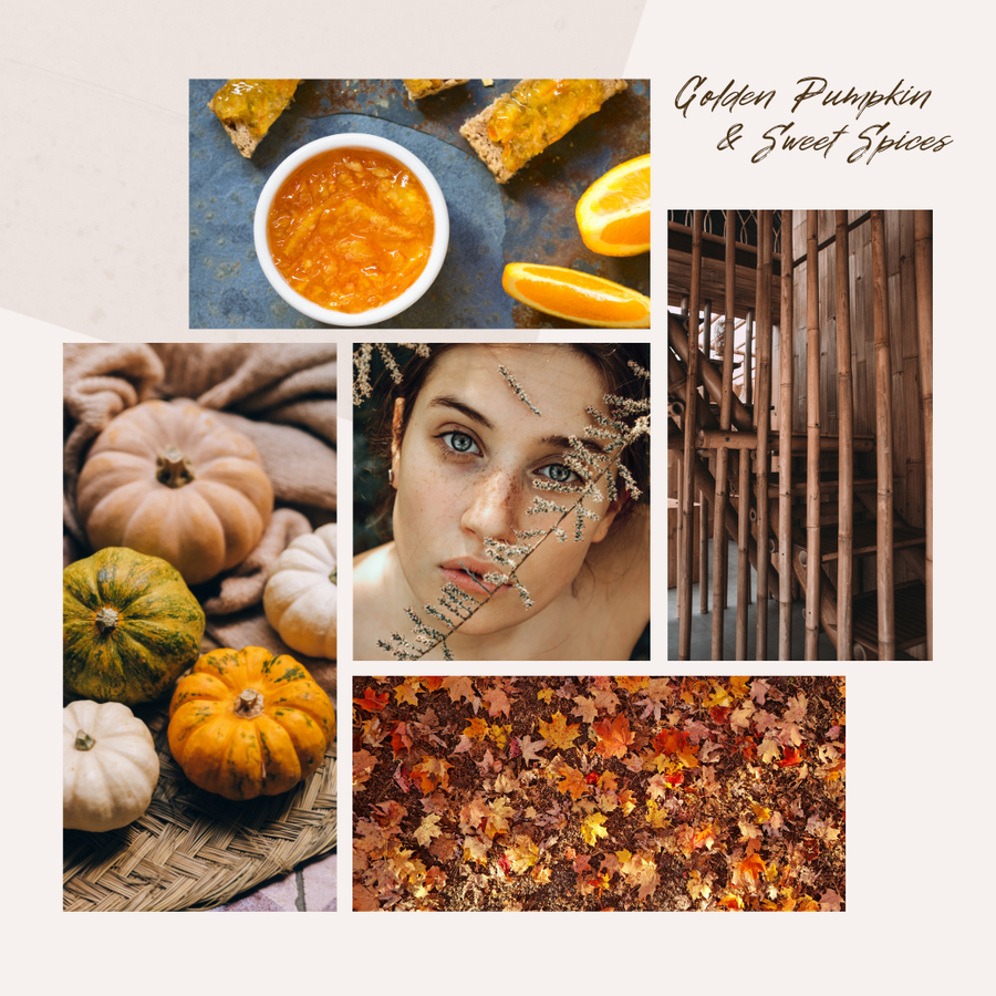 GOLDEN PUMPKIN & SWEET SPICES  - CHRISTMAS 2026