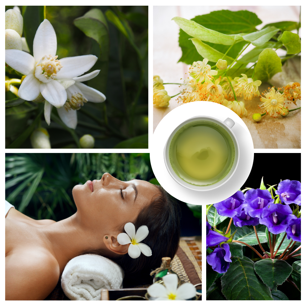 BLOOMING LINDEN BLOSSOMS