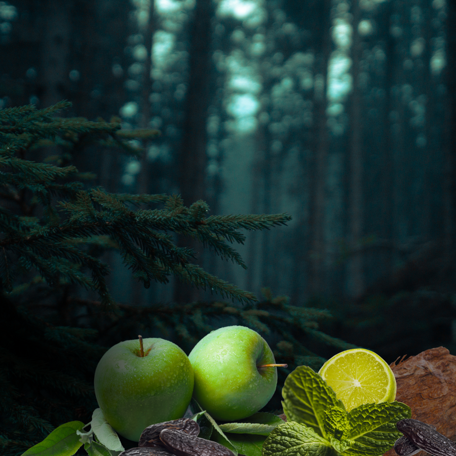 VERSERA - Eco Candle Project 