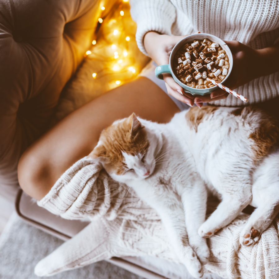 COSY COCOON - Eco Candle Project 