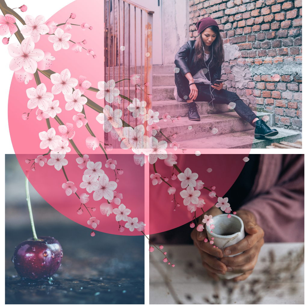 JAPANESE CHERRY BLOSSOM RITUALS