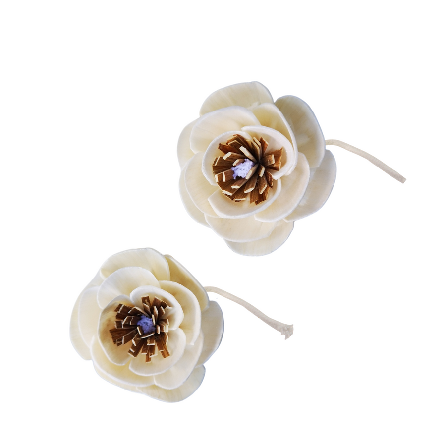 POPPY WITH STRING COTTON - Eco Candle Project 