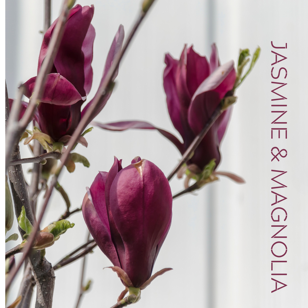 JASMINE & MAGNOLIA - Eco Candle Project 