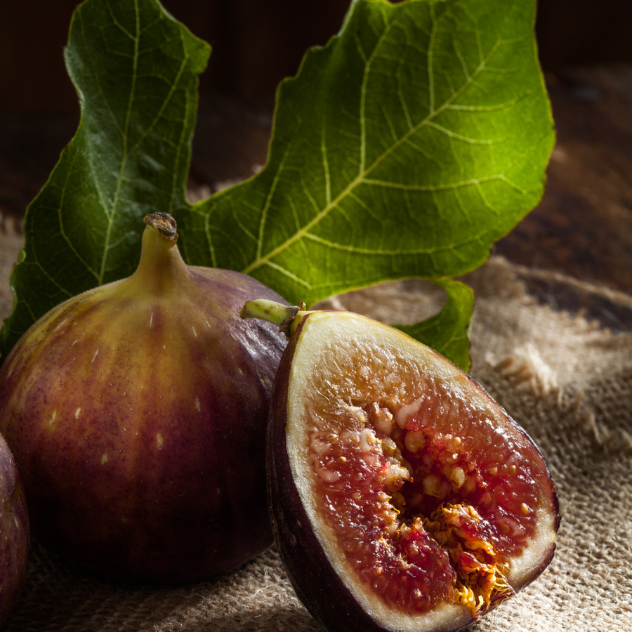 VIOLET-BLACK FIG & TONKA - Eco Candle Project 