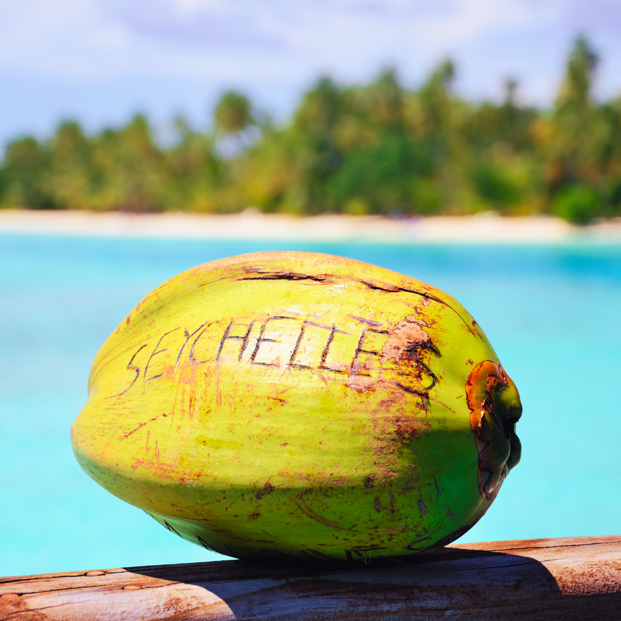 SEYCHELLES - Eco Candle Project 