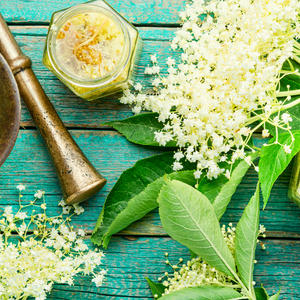 ELDERFLOWER, BERRIES & PLUM - Eco Candle Project 