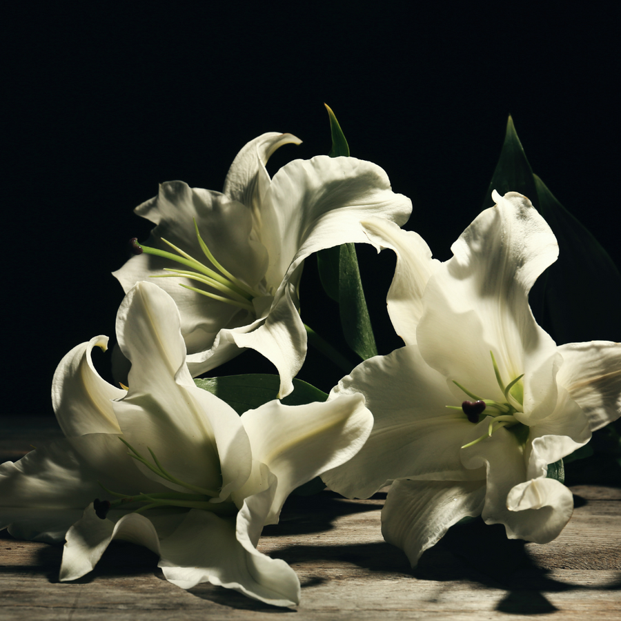 BLACK LILY & ORCHID - Eco Candle Project 